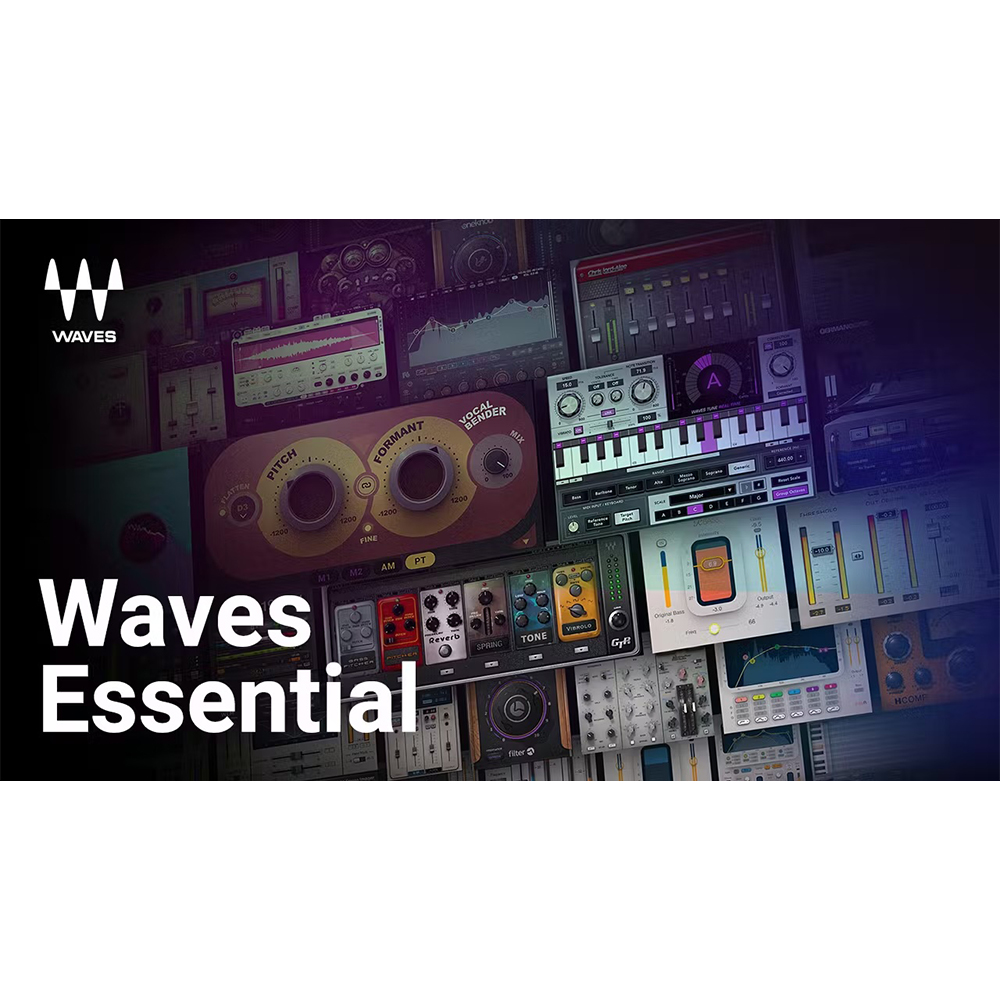 Waves Essential 12 month Subscription